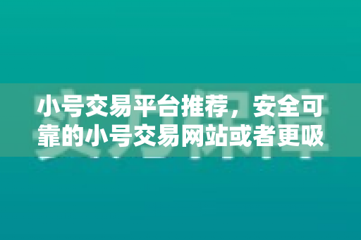 小号交易平台推荐，安全可靠的小号交易网站或者更吸引眼球的安全靠谱小号交易平台大全，告别账号难题