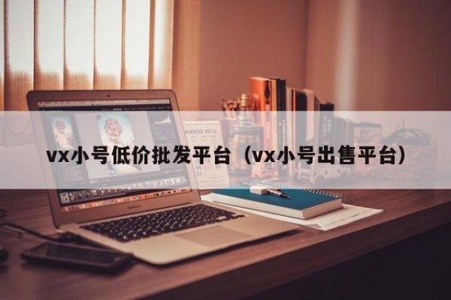 vx小号低价批发平台（vx小号出售平台）