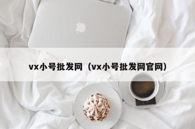 vx小号批发网（vx小号批发网官网）