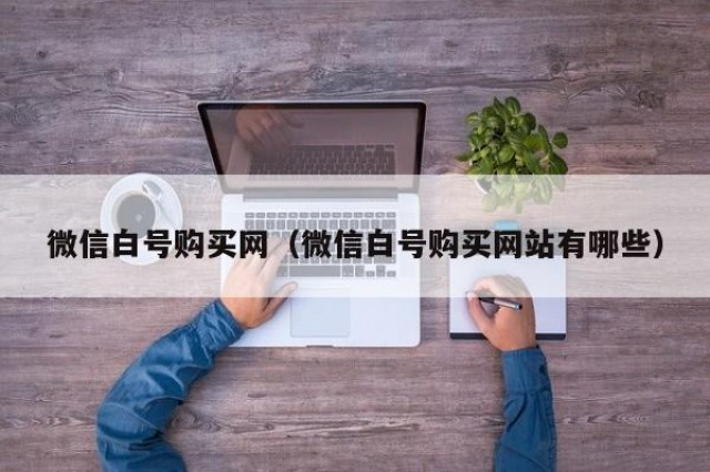 微信白号购买网（微信白号购买网站有哪些）