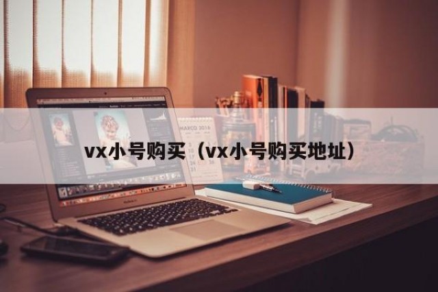 vx小号购买（vx小号购买地址）