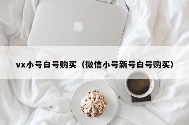 vx小号白号购买（微信小号新号白号购买）
