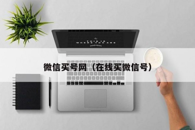 微信买号网（在线买微信号）